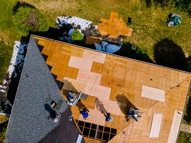 Roof Gutter Cleaning in Huntingtown, MD